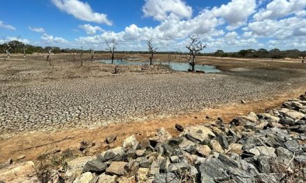 BMKG Prediksi Kemarau 2026 Lebih Kering Dan Panjang, El Nino Mengintai