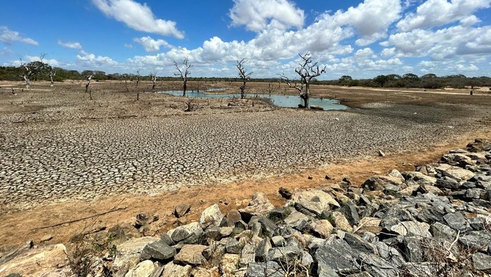 BMKG Prediksi Kemarau 2026 Lebih Kering Dan Panjang, El Nino Mengintai