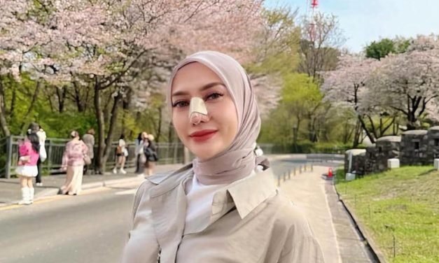 Yulita MCI5: Momen Indah Nikmati Sakura Di Namsan Tower
