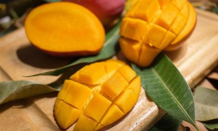 Jangan Salah! Mangga Bisa Jadi Musuh Tersembunyi Diabetes