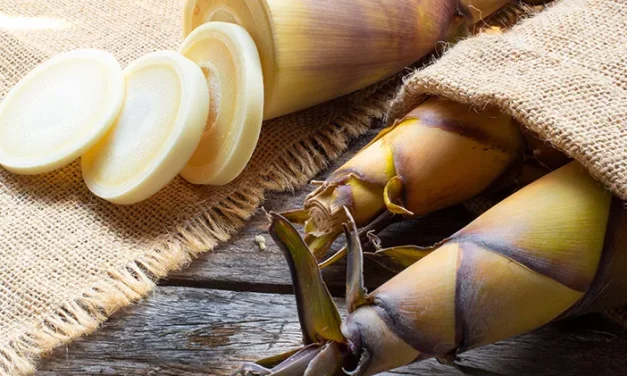 Jaga Pola Makan! Rebung Mengandung Serat Dan Vitamin B